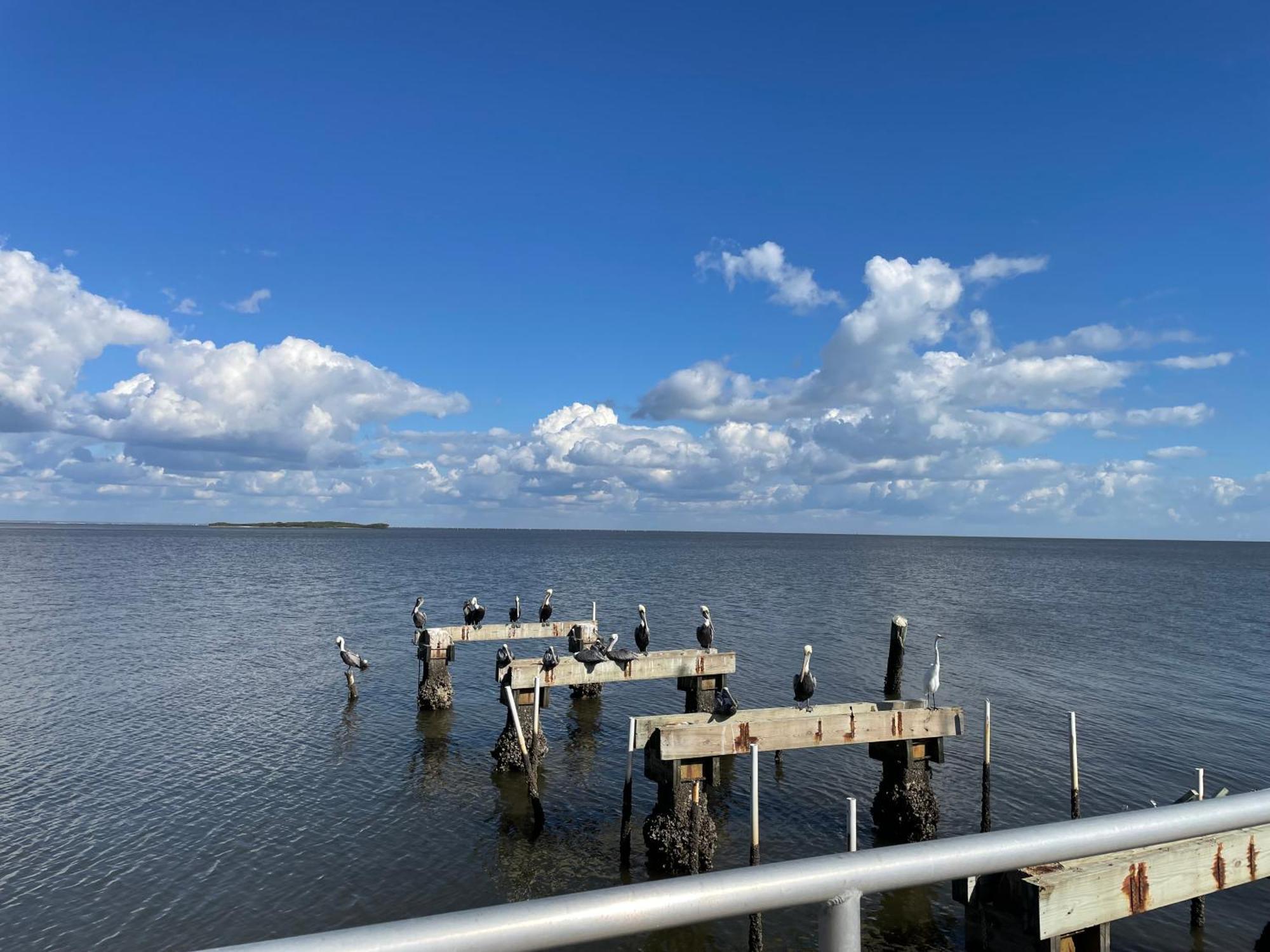 Cedar Key Florida Condo At Park Place Екстериор снимка